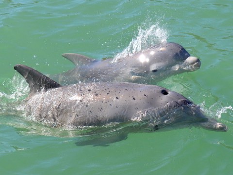 DSC_0578 DSC_0578