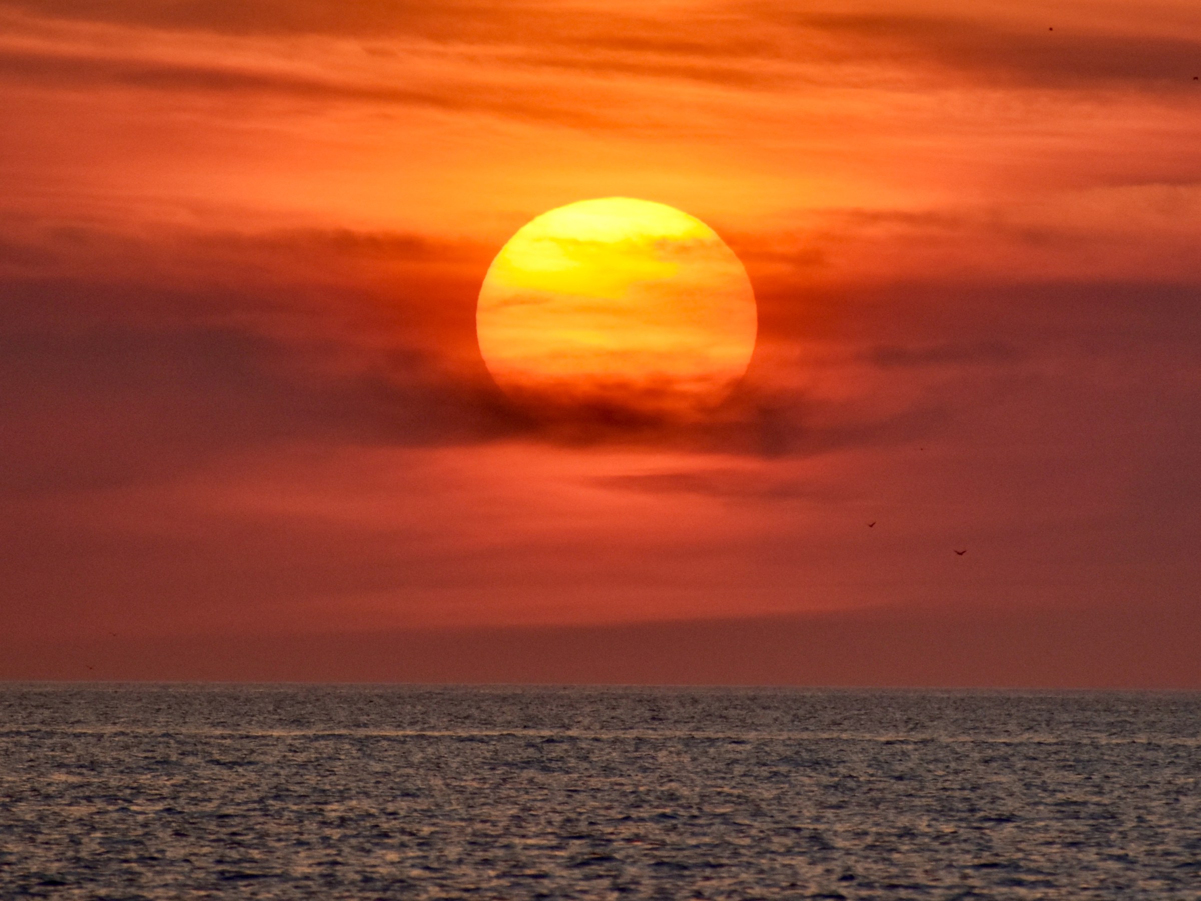 a sunset over a beach