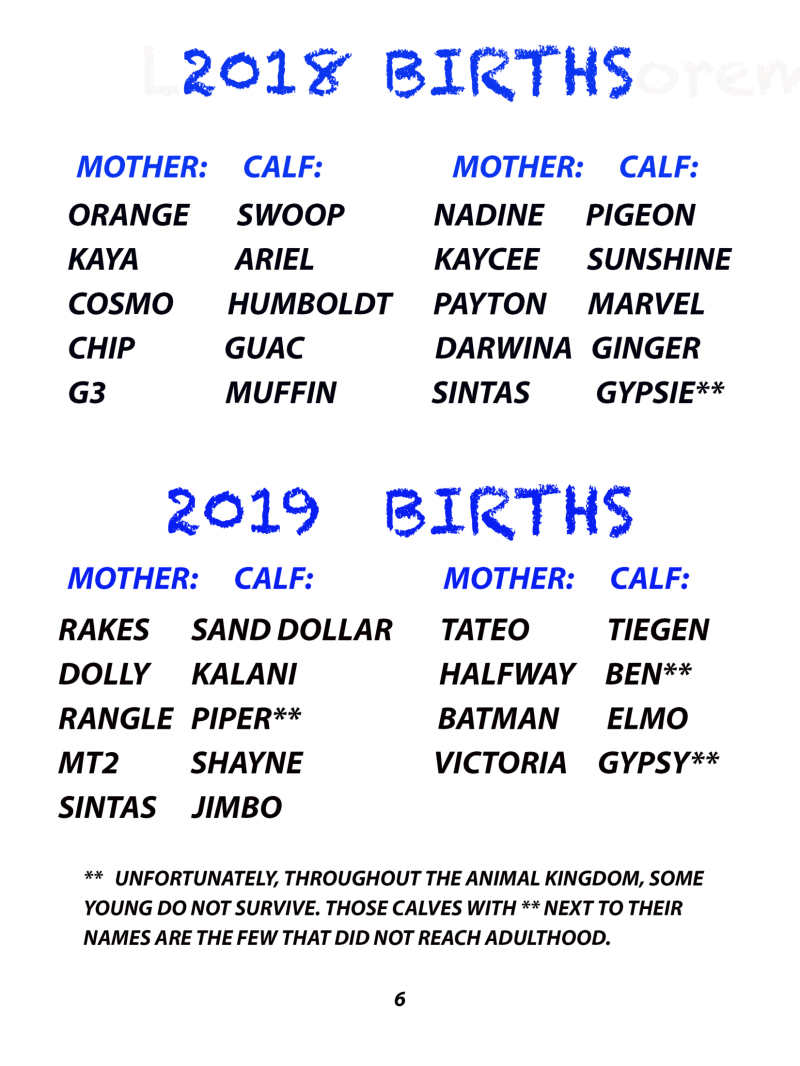 List of mother and calf names from 2018-2019, some calves marked with ** for not surviving.