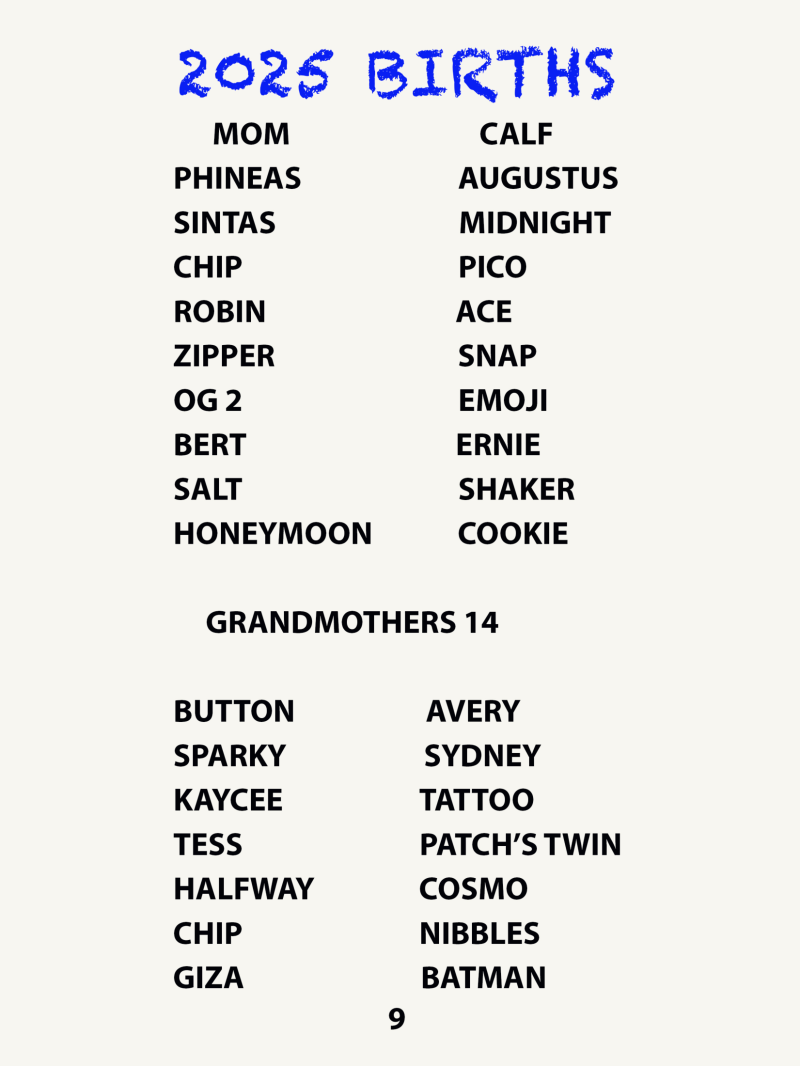 List of names under '2025 Births' and 'Grandmothers 14' headings, divided into two columns.