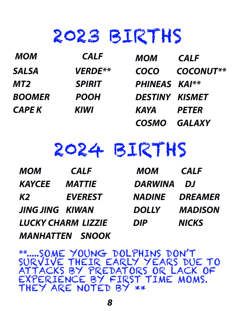 List of dolphin births in 2023 and 2024 by mom and calf names.