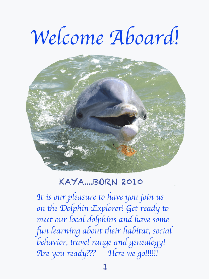 Dolphin smiling above water with text 'Welcome Aboard!' and details about Dolphin Explorer tour.